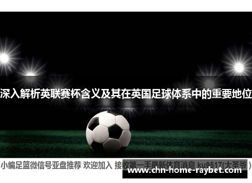 深入解析英联赛杯含义及其在英国足球体系中的重要地位 深入解析英联赛杯含义及其在英国足球体系中的重要地位