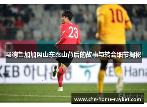 马德鲁加加盟山东泰山背后的故事与转会细节揭秘